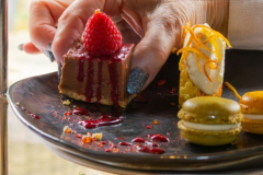 IMG_3157-Enhanced-NR