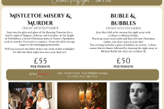 CHRISTMAS BROCHURE 2025 - 2 Christmas Party Nights with a twist