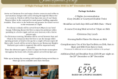 CHRISTMAS BROCHURE 2025 - 8 Christmas Residential Package